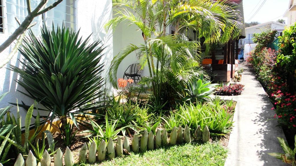 Bed & Breakfast Colibri